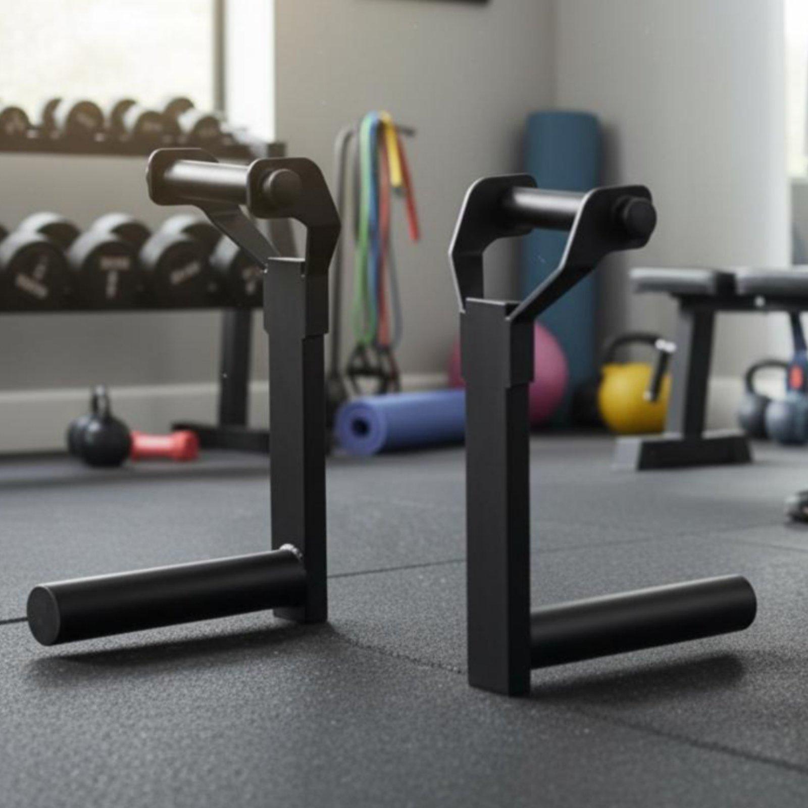 Multi-size Barbell Plate Holde - đánh giá và giá Home Gym Gym