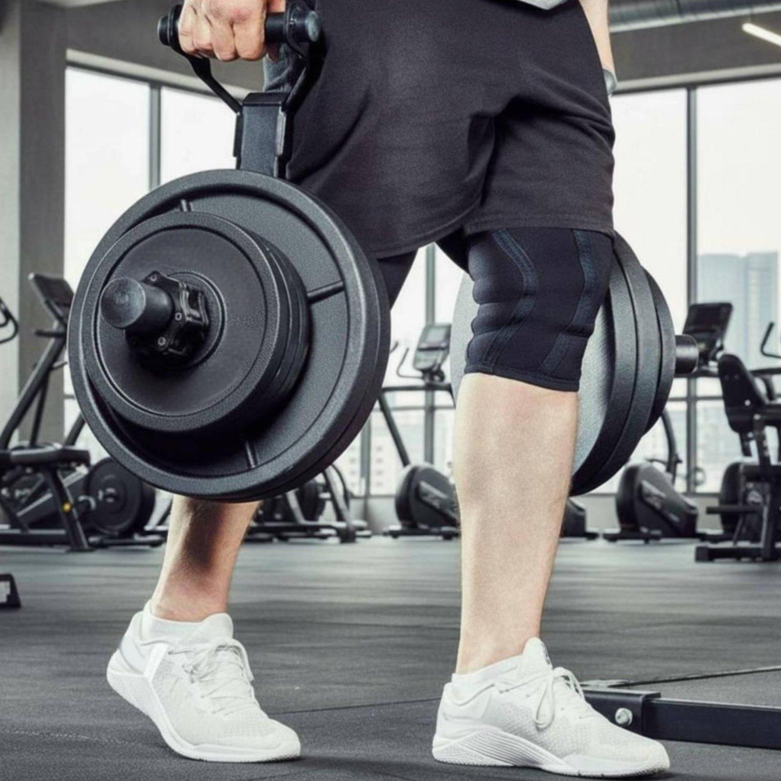 Multi-size Barbell Plate Holde - đánh giá và giá Home Gym Gym