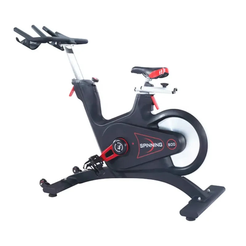 Professional Magnetic Resistan - đánh giá và giá Home Gym Exercise