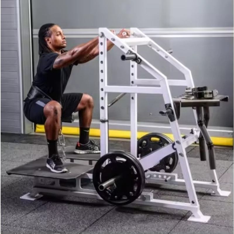 Functional Commercial Rig Fitn - đánh giá và giá Leg Press Machine