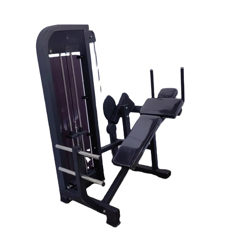 Functional Commercial Rig Fitn - đánh giá và giá Leg Press Machine