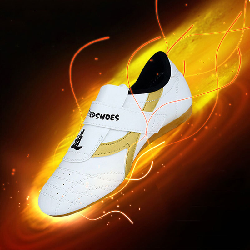 Children Taekwondo Shoes Men's - đánh giá và giá Weight Belt Lifting