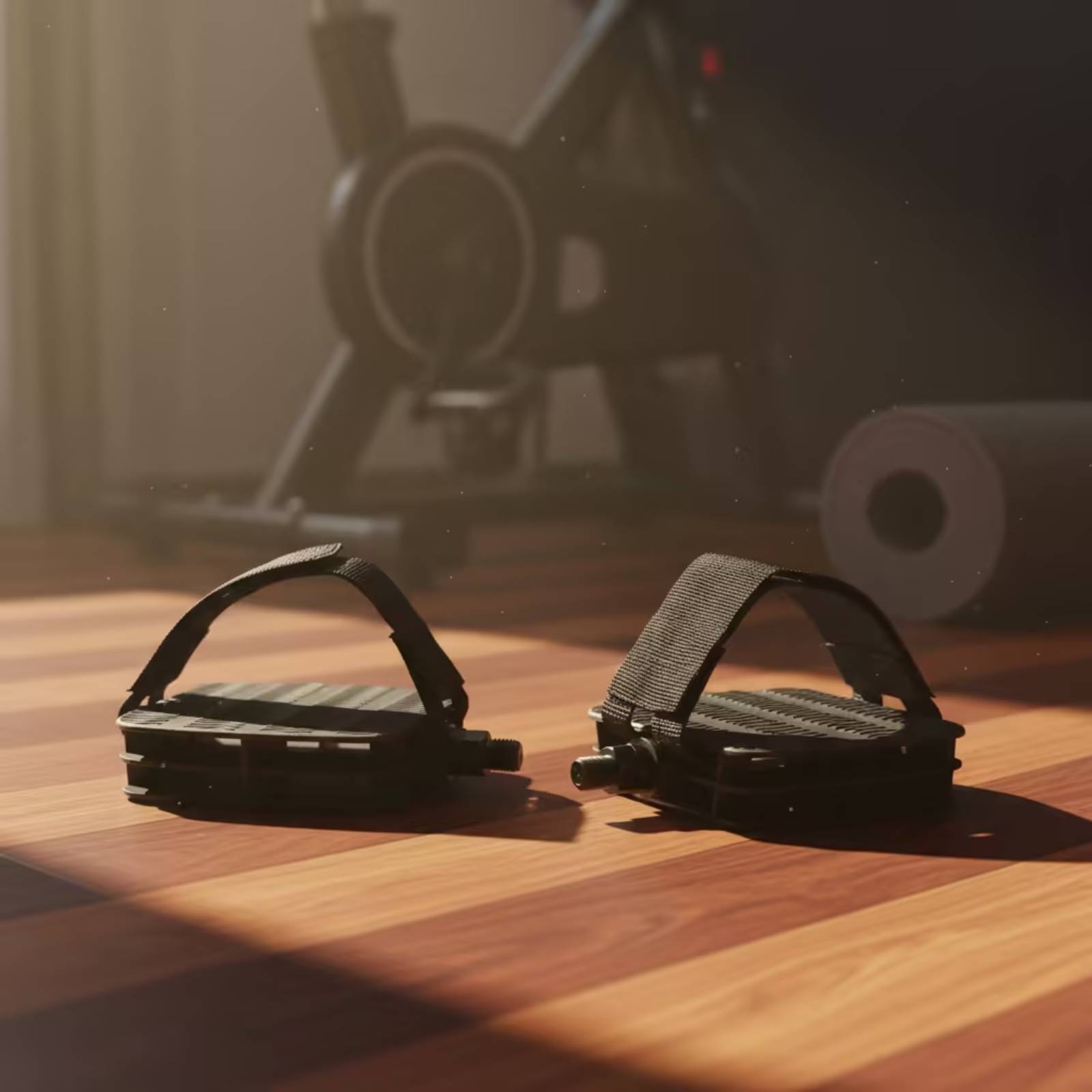 Exercise Bike Pedals with Stra - đánh giá và giá Home Gym Exercise