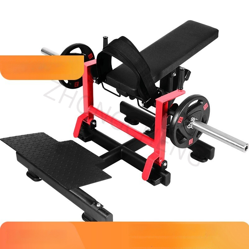 Glute and abdominal exercise m - đánh giá và giá Leg Press Machine