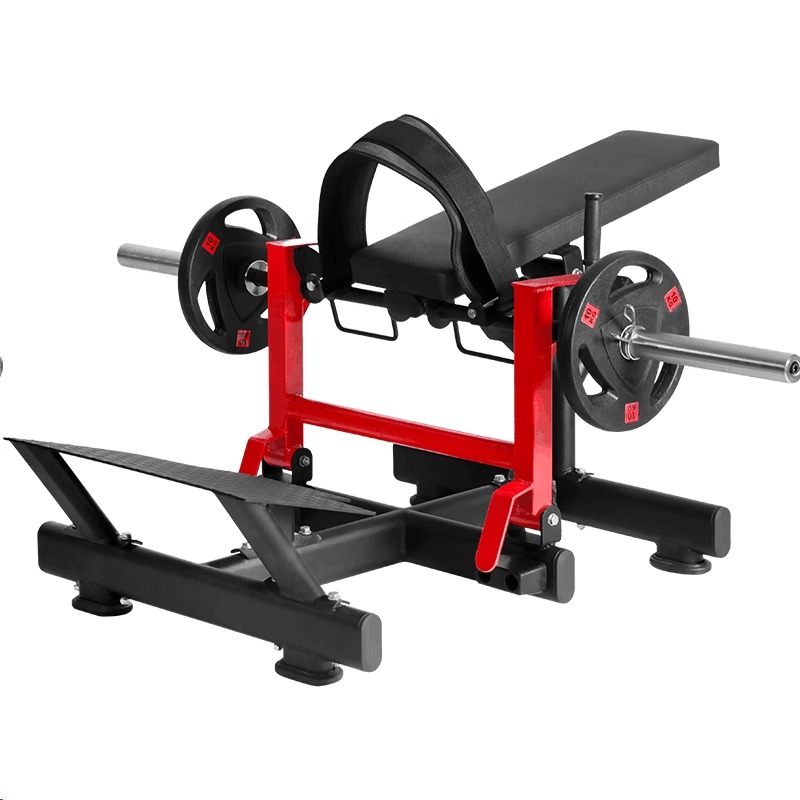 Glute and abdominal exercise m - đánh giá và giá Leg Press Machine