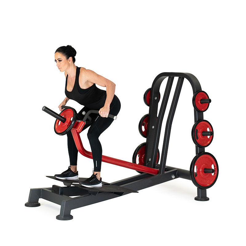 High Quality Commercial Workou - đánh giá và giá Leg Press Machine